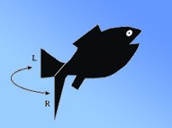 Swimmy Logo