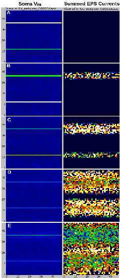 figures/C0003Aasc_prop-sm.png