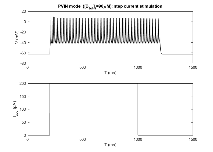 PVIN model step current stimulation