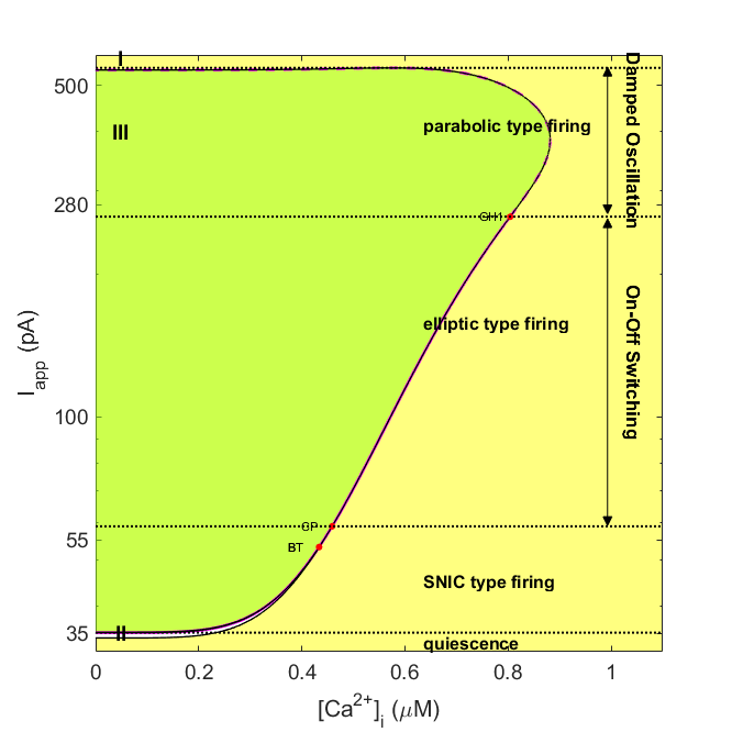 PVIN model two-parameter bifurcation analysis